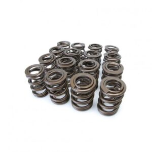 Molle valvola speciali SKUNK2 PRO SERIES