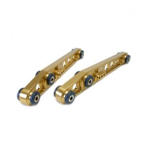 Bracci posteriori SKUNK2